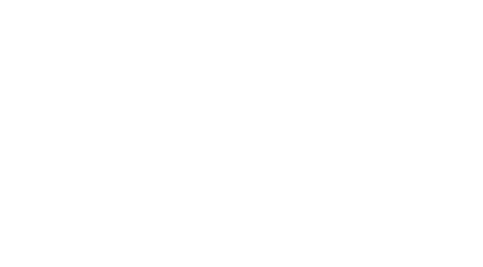 Daniel Designs
